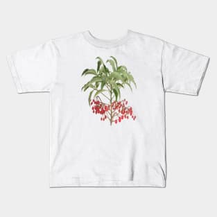 Spice Berry Ardisia Evergreen Shrub Vector Kids T-Shirt